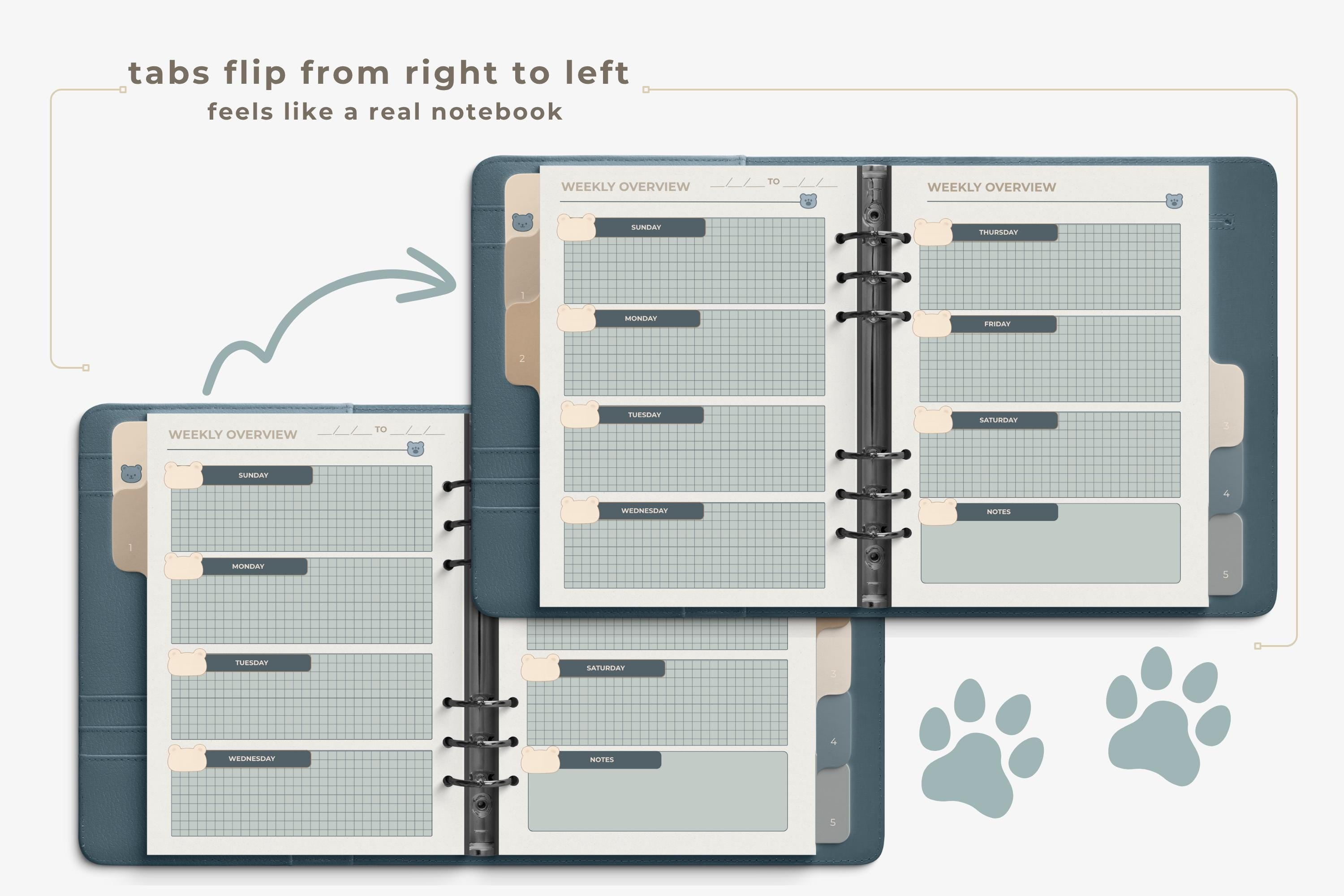 Glacier Bear Digital Planner | Undated PDF | Hyperlinked Tabs | GoodNotes | Monday & Sunday Start